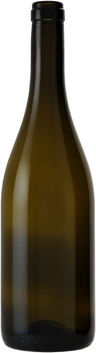 Borgognotta Caractere 75cl ts